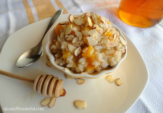 Brown Rice Pudding topped with apricots and almonds, spoon and honey drizzler on the side