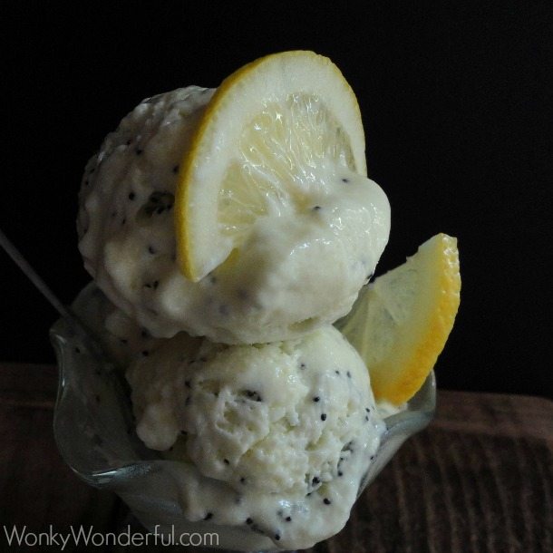 top view of ice cream topped with lemon slices