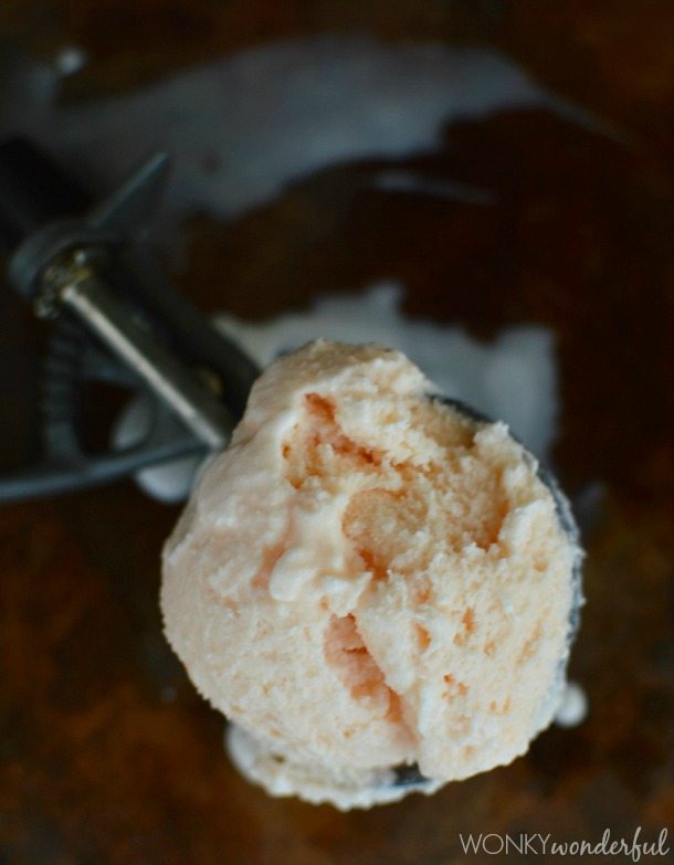 light pink gelato scooped into ice cream scoop