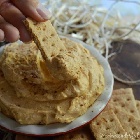 dip being scooped up with graham cracker