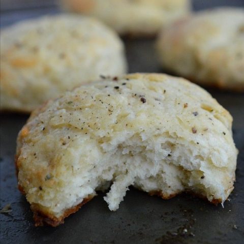 biscuit with bite taken out