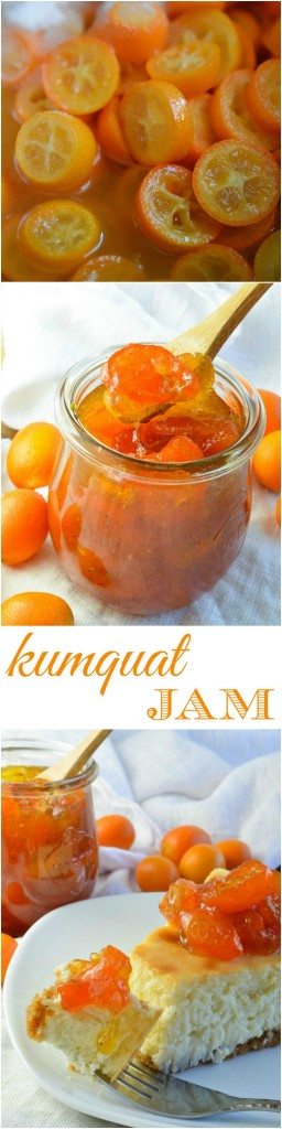 This Vanilla Kumquat Jam Recipe is great as a spread, dessert topping or condiment. This easy compote style jelly will add bright, citrus flavor to any dish!