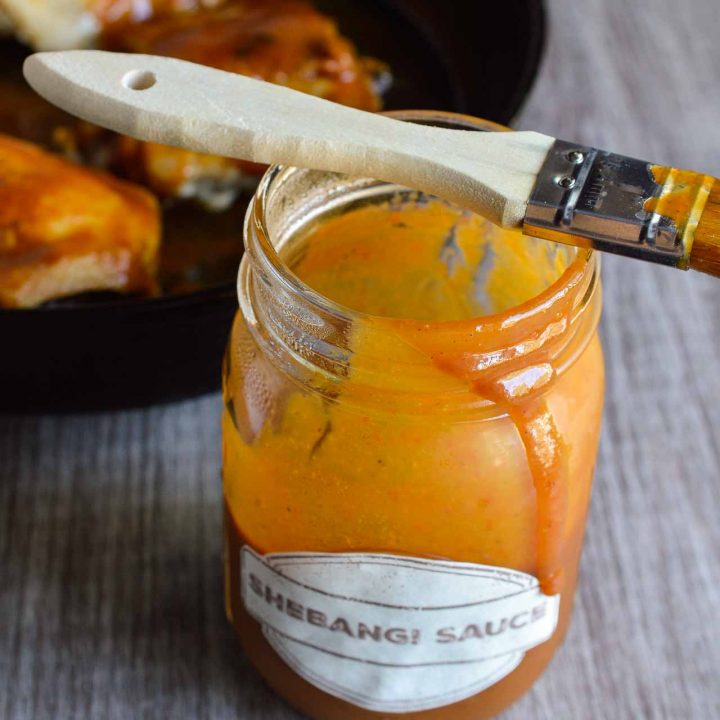 Get your grills ready because this Homemade Bbq Sauce Recipe is great for just about anything! This summer barbecue sauce is sweet and tangy. I call it SheBang! Sauce because it is good on the whole shebang! Get your own Free Printable Label for your SheBang! Sauce!