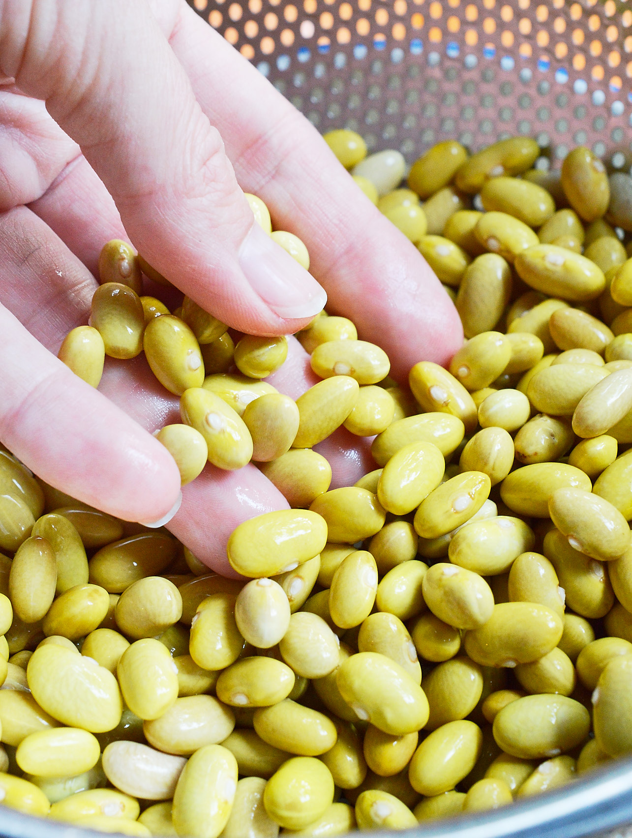 beans in colander 