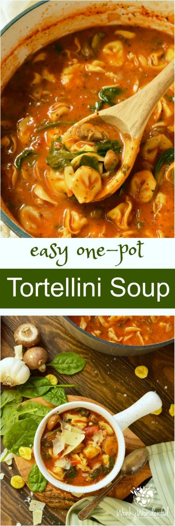 Get a warm comforting dinner on the table quickly with this one pot meal. This Easy Tortellini Soup Recipe takes just a few simple ingredients to make a hearty, nutritious soup!