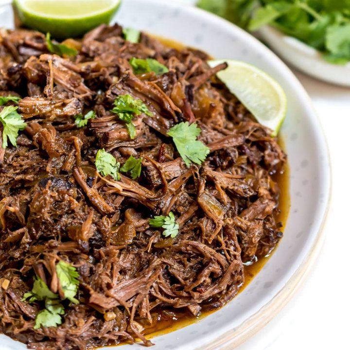 white bowl filled with barbacoa beef topped with cilantro