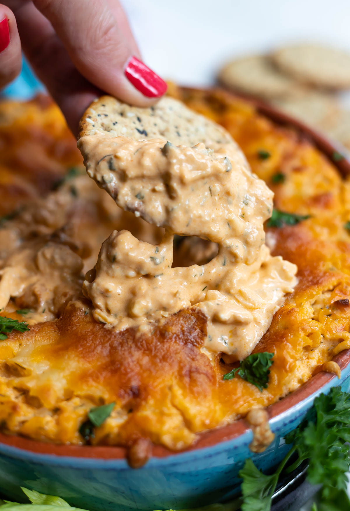 cracker being dipped into hot buffalo chicken dip