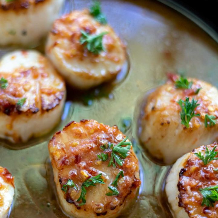 seared scallops in sauce topped with chopped parsley
