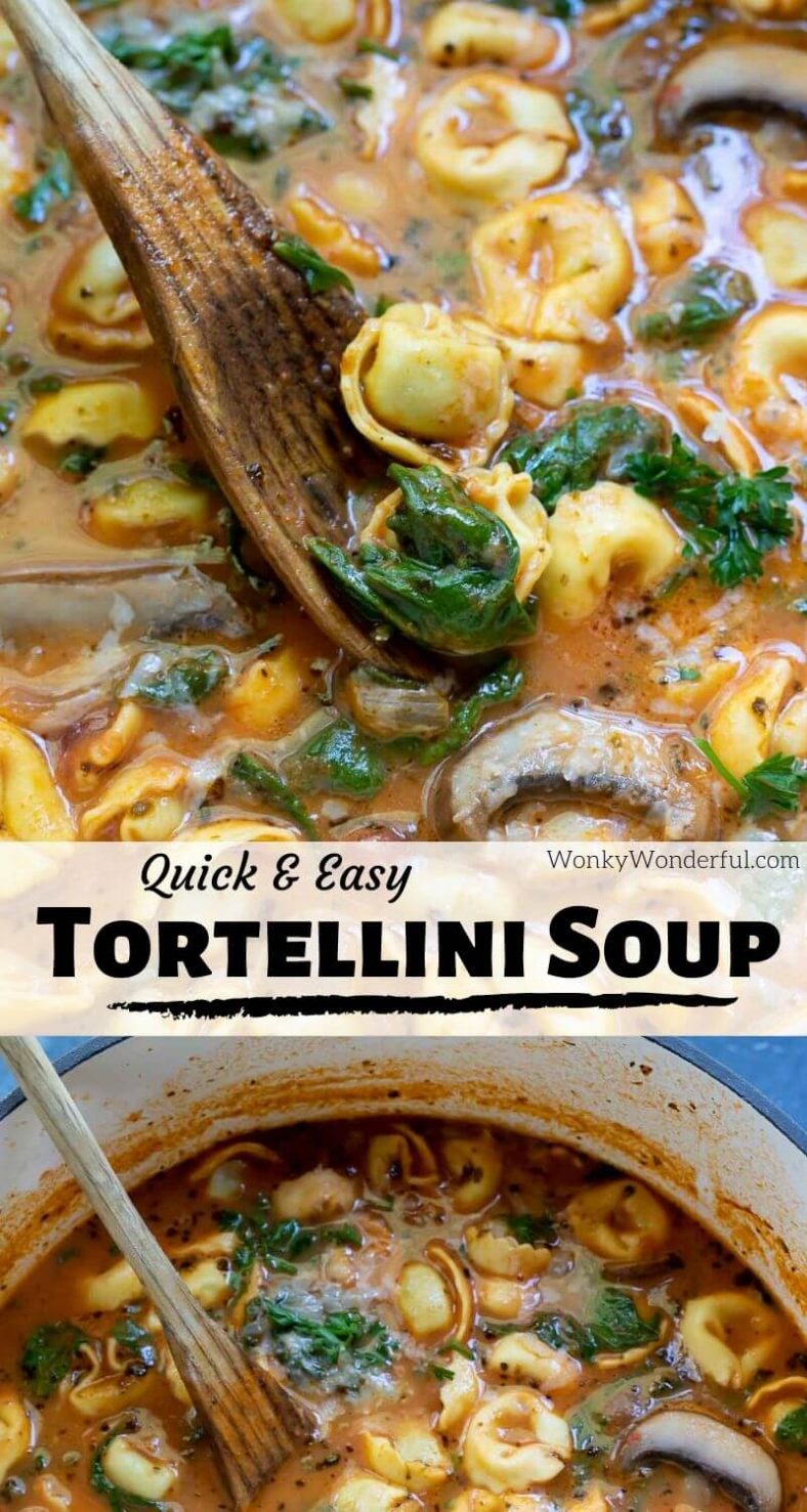For a quick weeknight dinner that will warm you up, make this Easy Spinach Tortellini Soup Recipe. With a few simple ingredients and about 30 minutes you can serve your family this nutritious soup filled with vegetables. #vegetarianrecipes #tortellinisoup #souprecipes #spinachtortellinisoup #healthyrecipes #nutritiousrecipes #easydinnerideas #dinnerrecipes #vegetarian