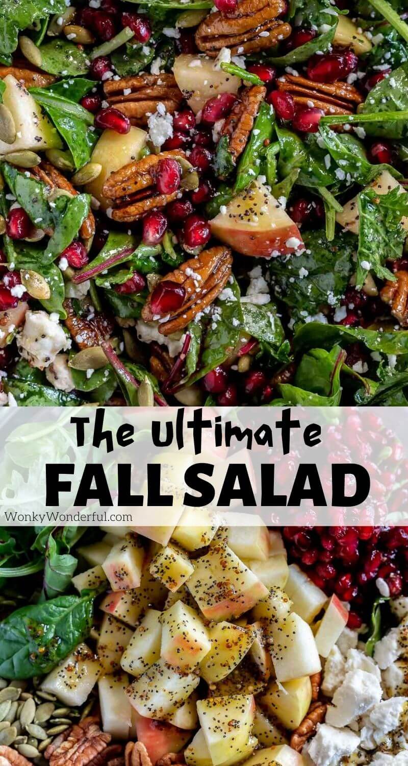 fresh fall salad pinnable image with title text