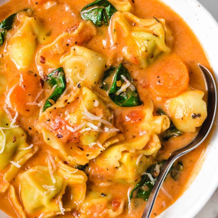 INSTANT POT SOUP RECIPES