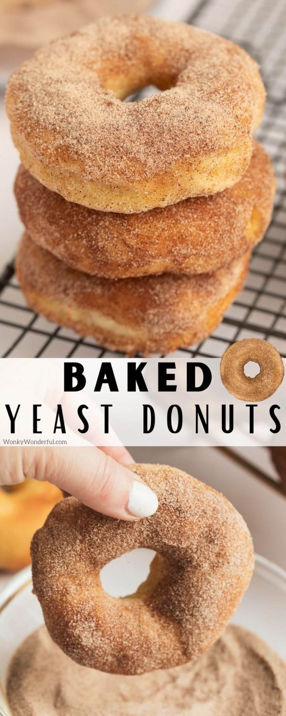 This Baked Doughnut Recipe is a great healthier alternative to fried donuts. These are Homemade Yeast Doughnuts that are definitely worth the effort! Make them cinnamon sugar or vanilla glazed for Krispy Kreme donuts right at home! #yeastdonuts #yeastdoughnuts #bakeddonuts #bakeddoughnuts #donutrecipe baked doughnut recipe pinnable image with title text