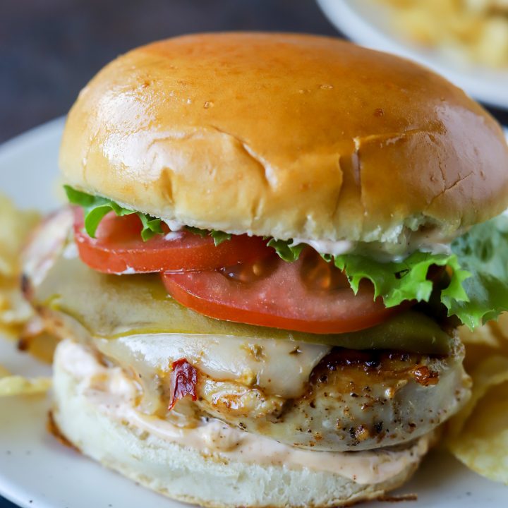 chicken sandwich on white plate