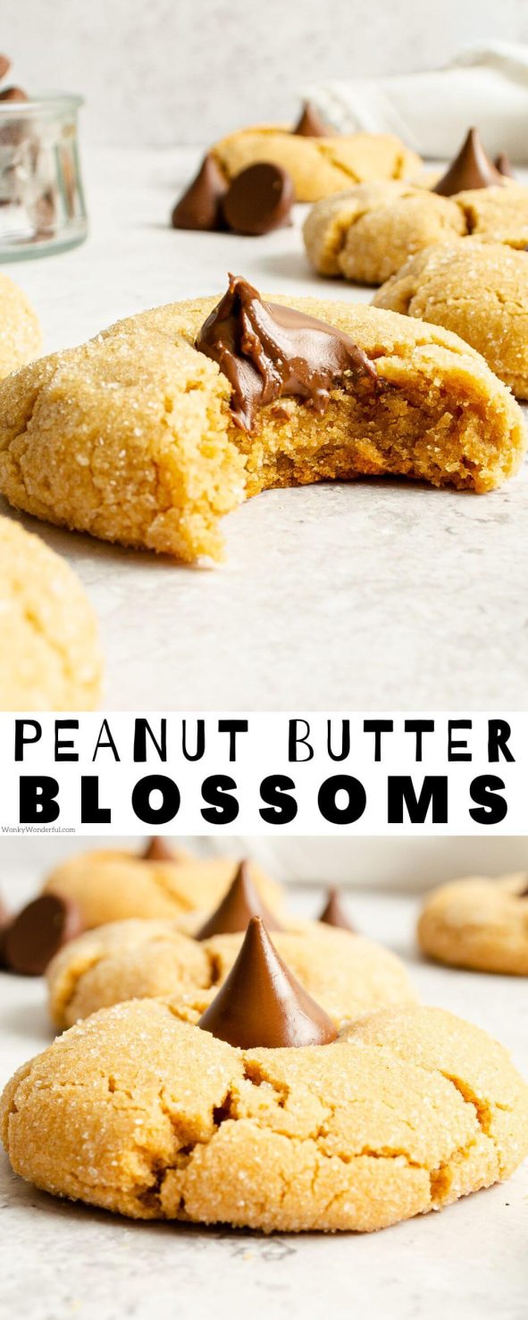 Make these Peanut Butter Blossoms for an easy sweet treat. Soft peanut butter cookies topped with Hershey's Kisses are a crowd favorite and especially popular for Thanksgiving and Christmas Cookies. peanut butter blossoms pinnable image with title text