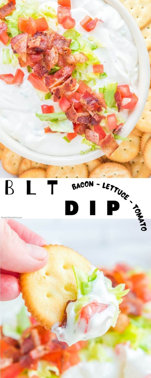 This BLT DIP RECIPE is a great quick and easy appetizer idea. Cold creamy ranch dip loaded with bacon, lettuce and tomatoes is perfect for game-day, parties or to enjoy by the pool. blt dip pinnable image with title text