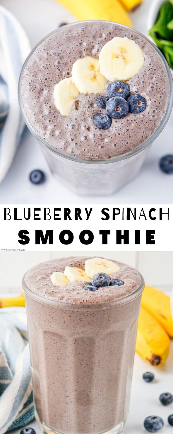 Start the day off right with this BLUEBERRY SPINACH SMOOTHIE. Frozen blueberries, banana, spinach, milk and protein powder make this healthy smoothie taste fantastic! blueberry spinach smoothie pinnable image with title text
