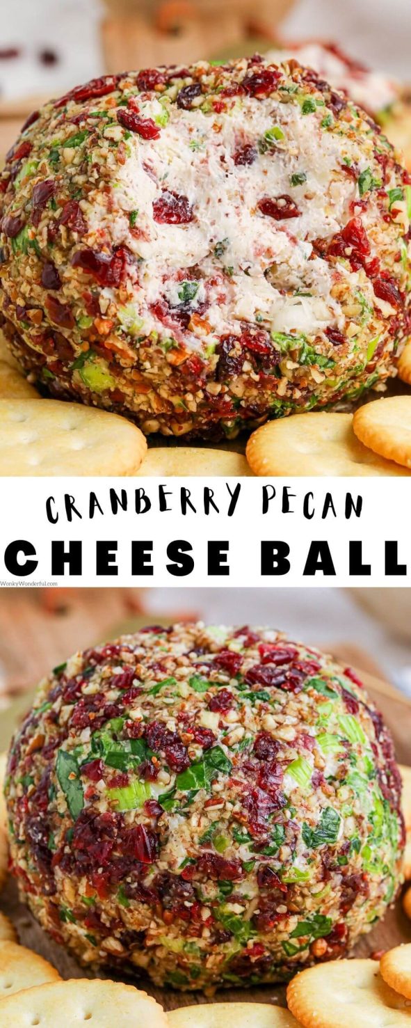 This CRANBERRY PECAN CHEESE BALL is the perfect appetizer for holidays and parties. Cream cheese coated with dried cranberries, pecans, green onions and parsley. cranberry pecan cheese ball pinnable image with title text