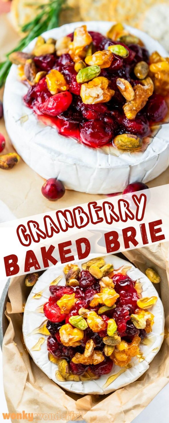 This CRANBERRY BAKED BRIE CHEESE is an indulgent sophisticated appetizer that is super simple to prepare.Brie cheese topped with tart cranberries and caramelized nuts. cranberry baked brie pinnable image