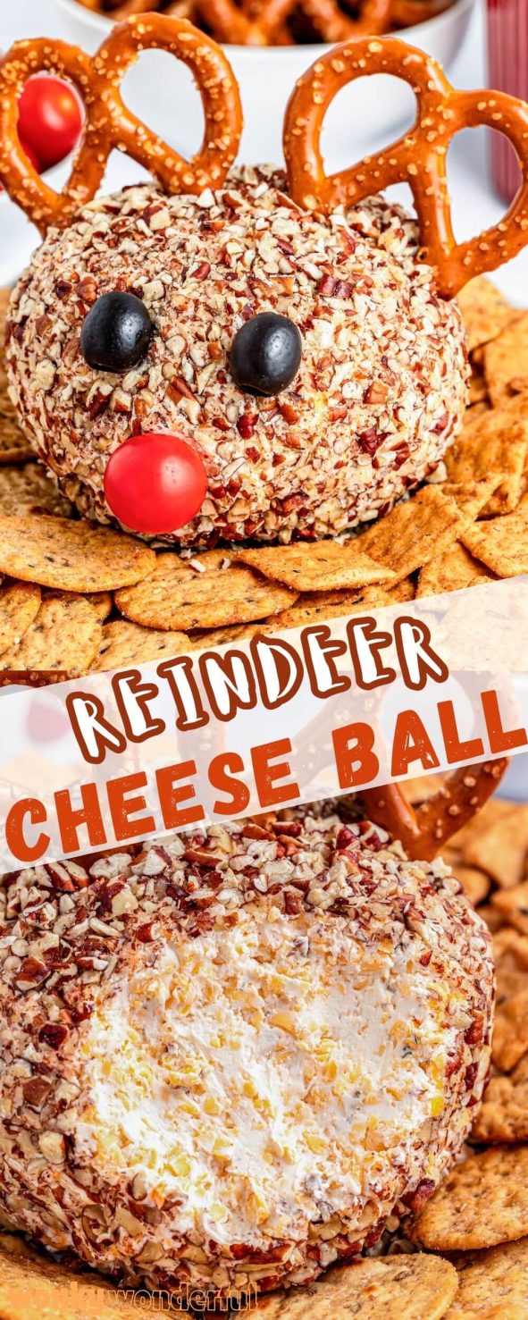 This REINDEER CHEESE BALL is the cutest holiday appetizer and super easy to prepare. A basic cheesy ranch cheese ball decorated to look like Rudolph the Red Nosed Reindeer. reindeer cheese ball pinnable image