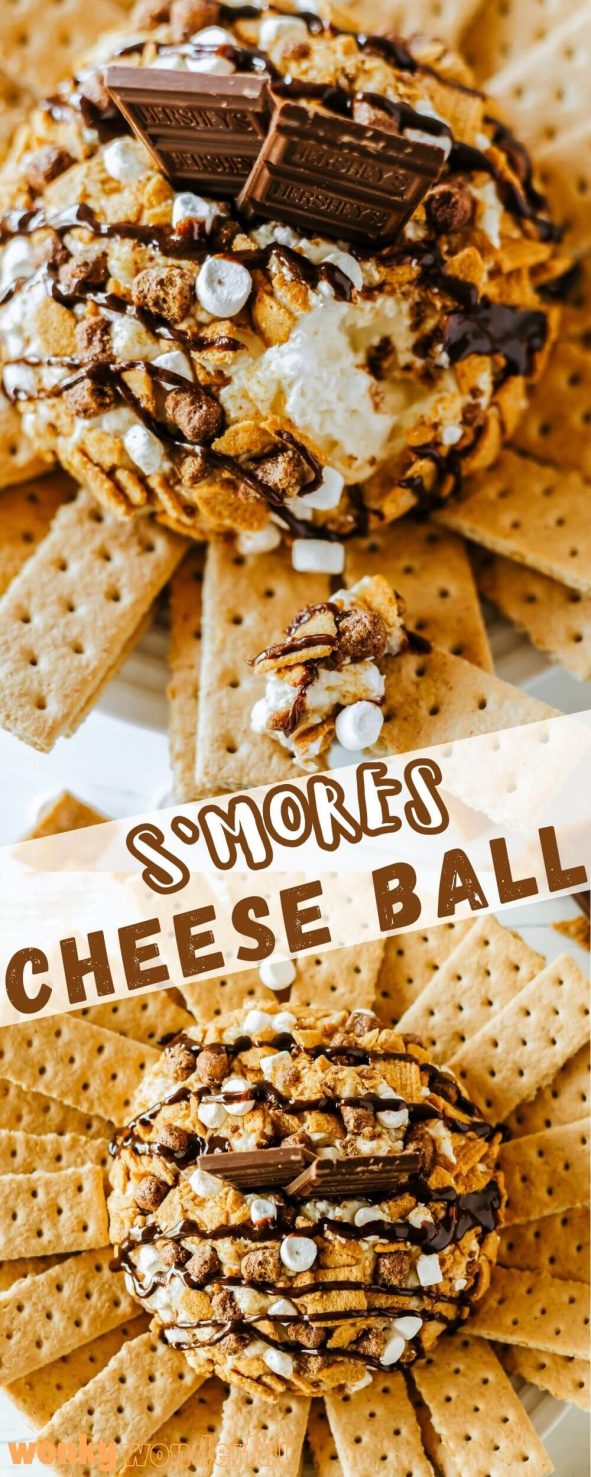 This S'MORES CHEESE BALL is your favorite summertime campfire dessert in cheese ball form. This dessert cheese ball is loaded with chocolate, graham crackers and marshmallows. smores cheese ball pinnable image