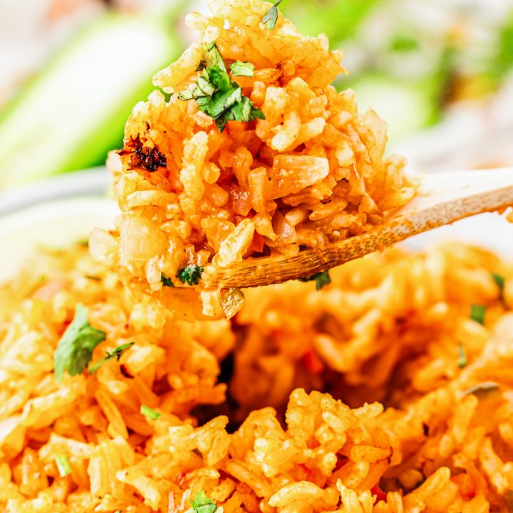 prepared rice on serving spoon