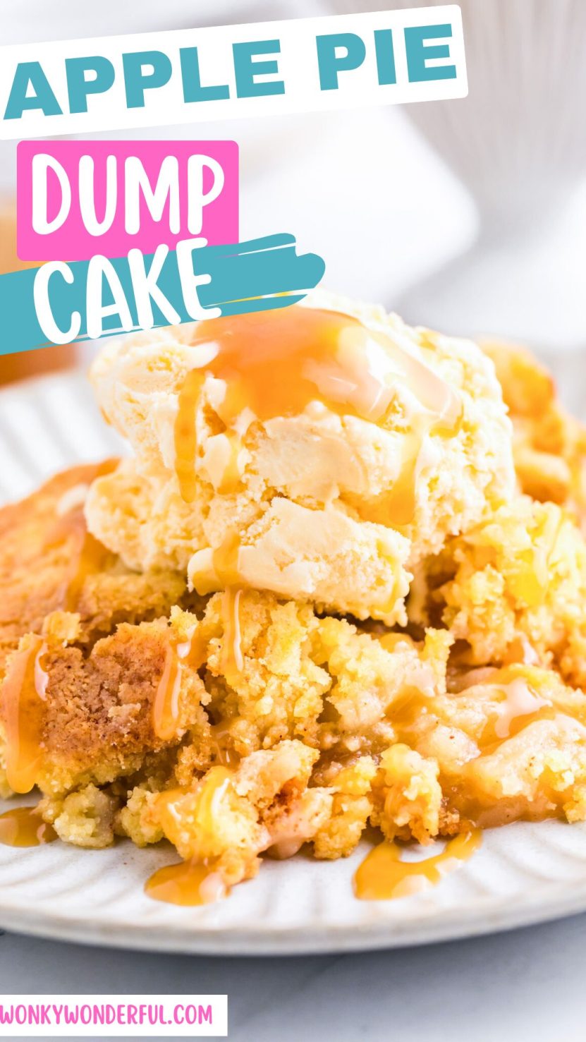 Making this APPLE DUMP CAKE RECIPE starts with a layer of apple pie filling, which is topped with dry cake mix and apple pie spices, then drizzled with melted butter. The cake is then baked, all without a mixing bowl in sight! apple dump cake recipe pinnable image
